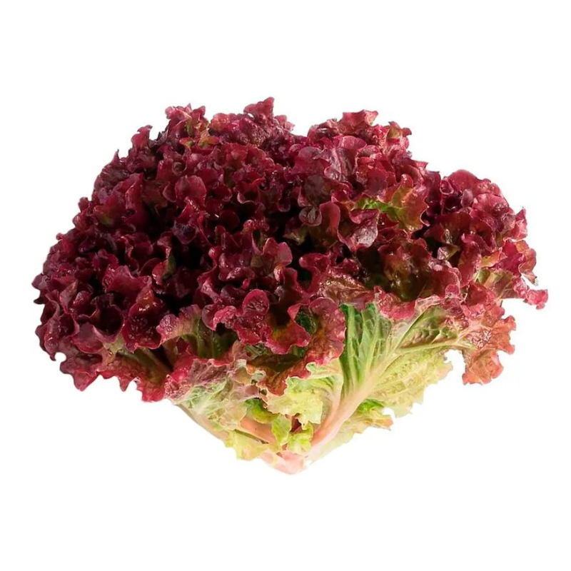 Crespa Roxa