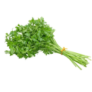 Salsa (salsinha) 500g