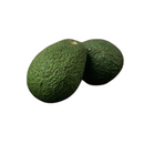 Avocado Orgânico