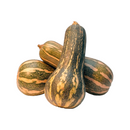 Abobrinha Paulista Orgânica