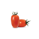 Tomate italiano