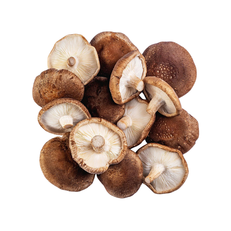 SHITAKE