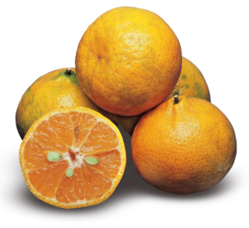 Mexerica Carioquinha 500g