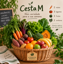 Cesta M